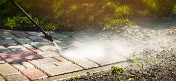 Best Solar Panel Cleaning  in Crown Heights, NY